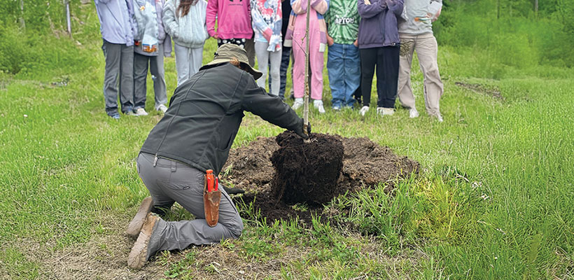 Ameritas associates helping plant trees at a local elementary school.